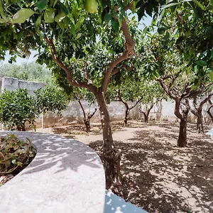  Appartamento Angolo 31